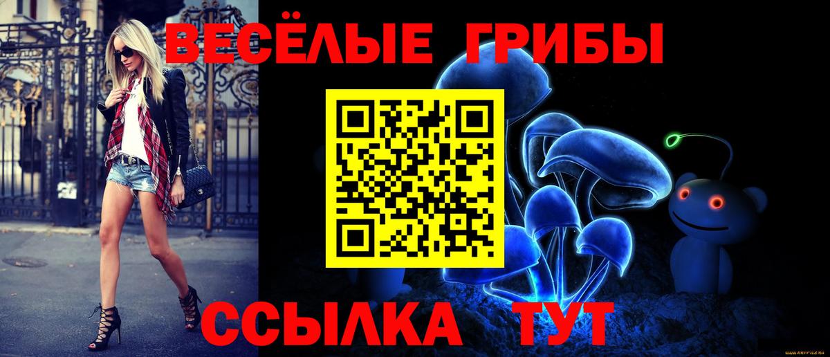 Псилоцибиновые грибы ЛСД Алексеевка