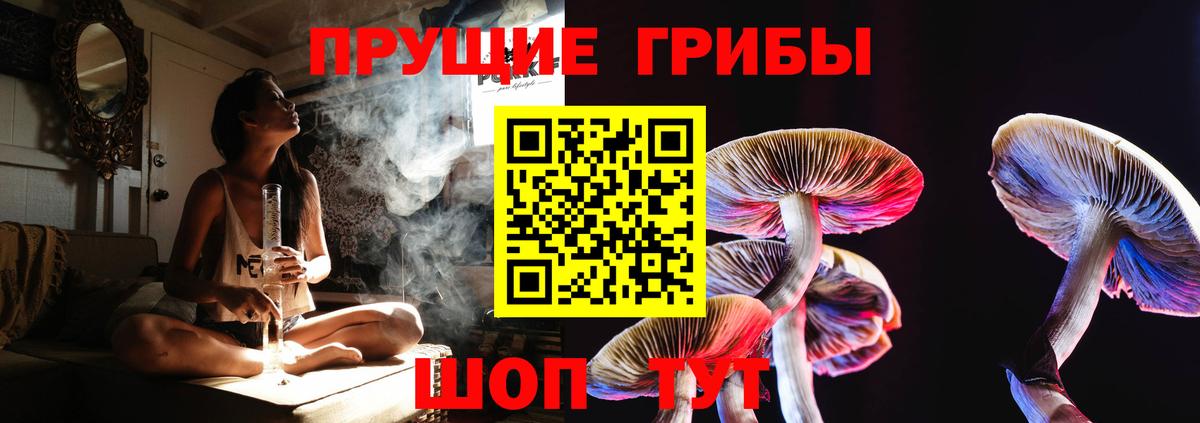 Галлюциногенные грибы Magic Shrooms  Вход с VPN  Алексеевка  Галлюциногенные грибы Magic Shrooms 